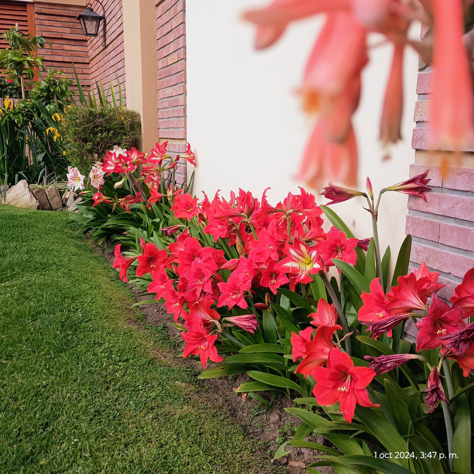 Paisajismo en terrazas